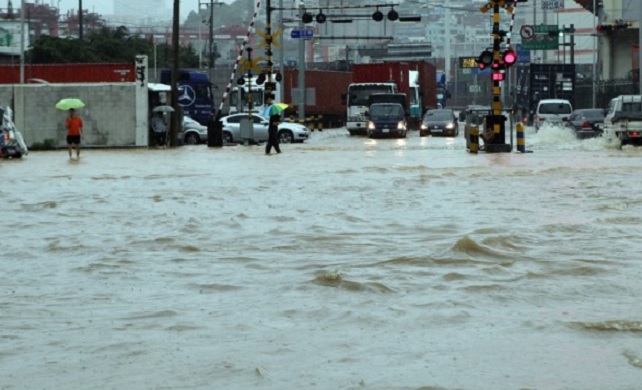 부산지역 홍수.jpg